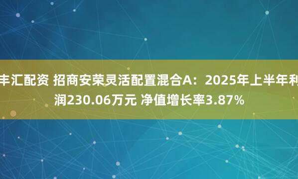丰汇配资 招商安荣灵活配置混合A：2025年上半年利润230.06万元 净值增长率3.87%