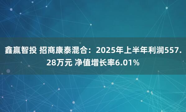 鑫赢智投 招商康泰混合：2025年上半年利润557.28万元 净值增长率6.01%