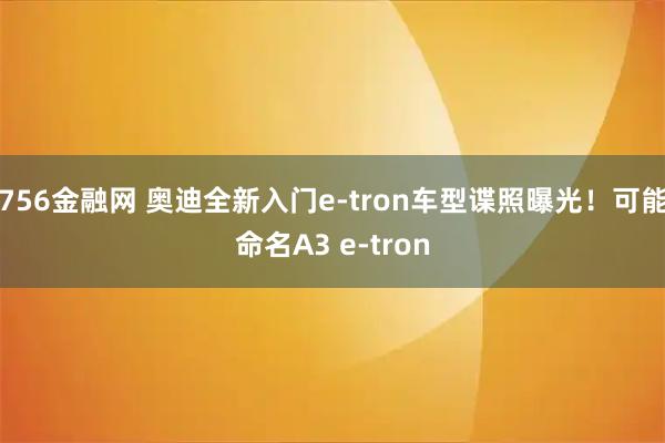756金融网 奥迪全新入门e-tron车型谍照曝光！可能命名A3 e-tron