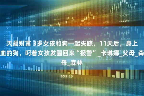 天盈财富 3岁女孩和狗一起失踪，11天后，身上带血的狗，叼着女孩发圈回来“报警”_卡琳娜_父母_森林