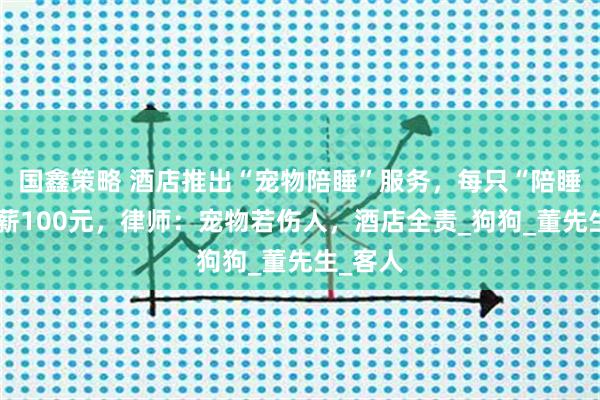 国鑫策略 酒店推出“宠物陪睡”服务，每只“陪睡犬”日薪100元，律师：宠物若伤人，酒店全责_狗狗_董先生_客人