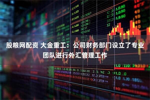 股粮网配资 大金重工：公司财务部门设立了专业团队进行外汇管理工作